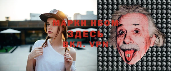 стаф Майский