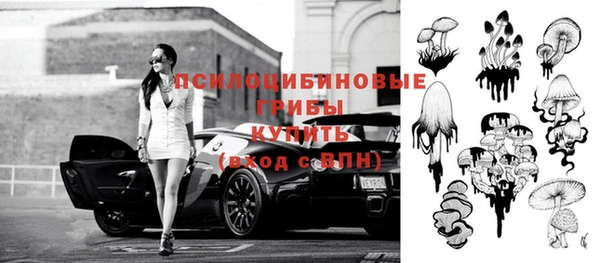 мяу мяу мука Медногорск