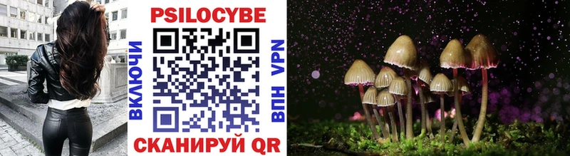 купить наркотики цена  Нолинск  Псилоцибиновые грибы Magic Shrooms 